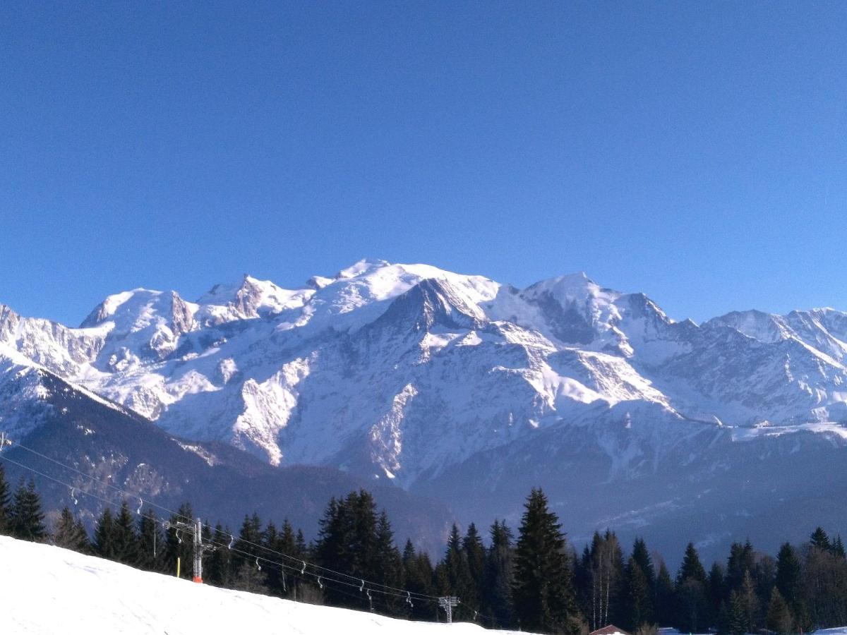 Mont Etape , F2, 42 M2, Calme, Vue Mt Blanc Appartement Passy  Kamer foto