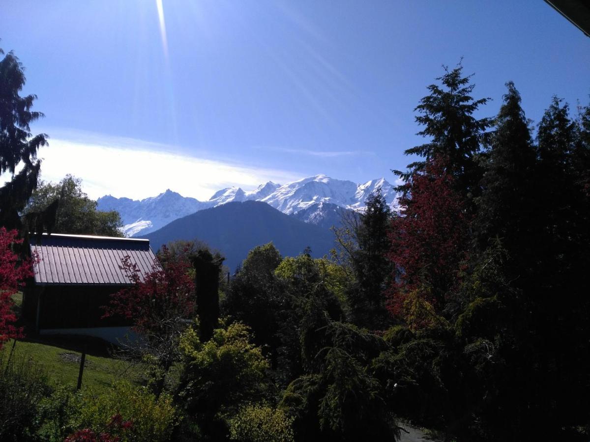 Mont Etape , F2, 42 M2, Calme, Vue Mt Blanc Appartement Passy  Kamer foto